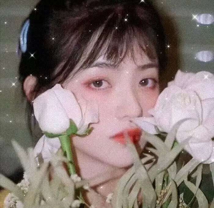 莉莉与凯特